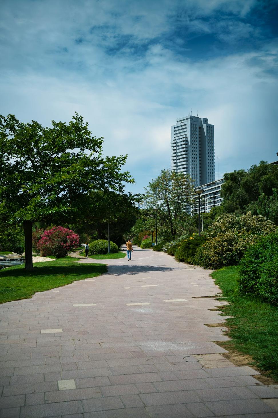 Greenway Corridor Project